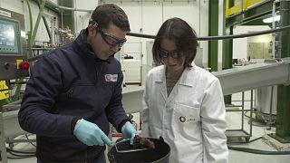 Investigadores europeus criam biocombustível a partir de palha