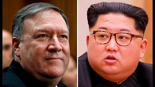 ABD-Kuzey Kore: Tarihi zirve için hazırlıklar hız kazandı