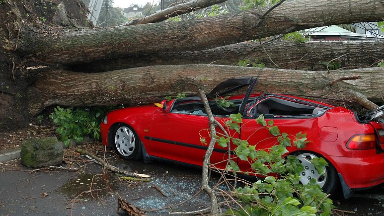Copernicus to provide new windstorm data resources for the insurance sector Copernicus to provide new windstorm data resources for the insurance sector