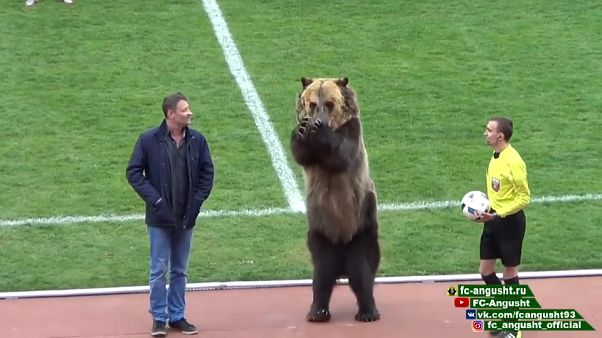 Un club ruso lleva a un oso para animar antes del partido Un club ruso lleva a un oso para animar antes del partido