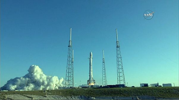 Новая высота Илона Маска Новая высота Илона Маска
