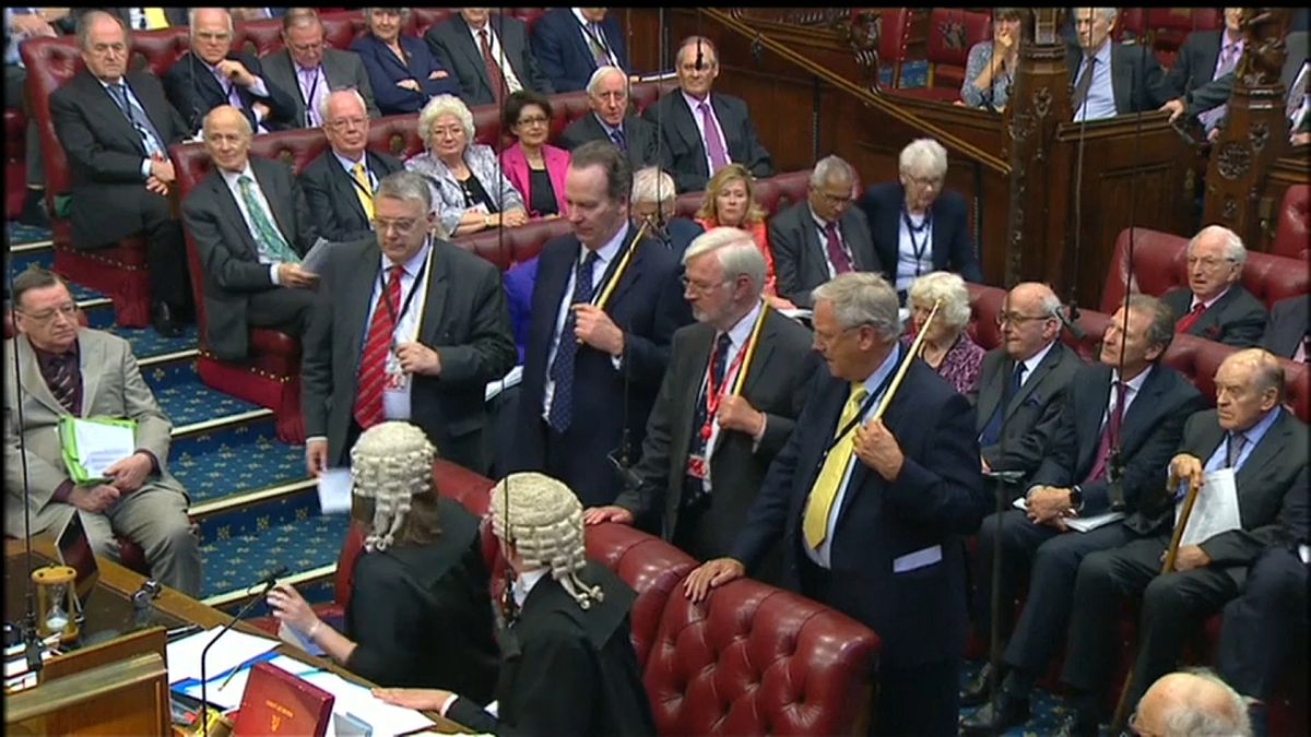 Lords delivers defeat to Theresa May's government over exiting EU customs union