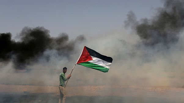 Un manifestant portant le drapeau palestinien Un manifestant portant le drapeau palestinien