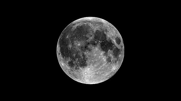 Vos selfies sur la Lune pour les 50 ans d’Apollo 11 Vos selfies sur la Lune pour les 50 ans d’Apollo 11