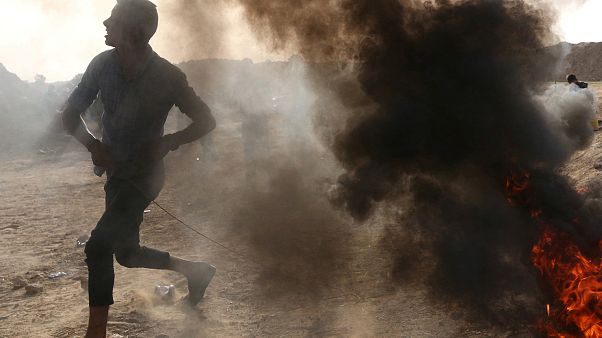 EU-Parlament debattiert Gaza Krise EU-Parlament debattiert Gaza Krise