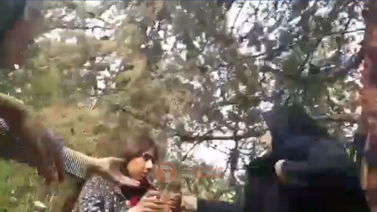 Women beaten up in Iran for wearing headscarf 'improperly'
