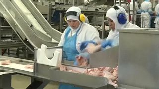 Uniós importtilalom a brazil húsra