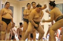 Los mejores vídeos de la semana