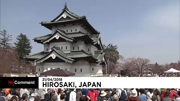 Cseresznyefa-virágzás Japánban Cseresznyefa-virágzás Japánban