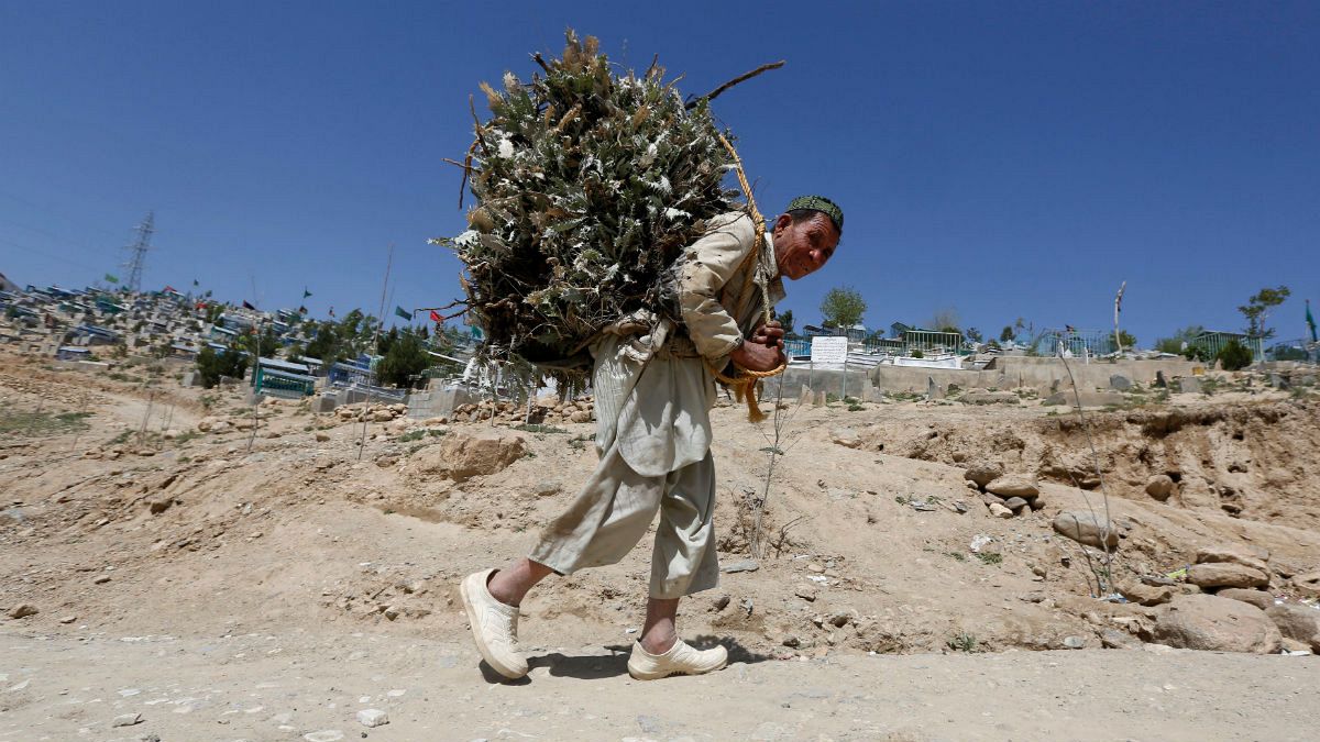 هشدار جدی خشکسالی در افغانستان جنگ‌زده