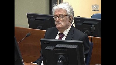 Recurso de Karadzic dá entrada em Haia