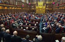 Brexit continues to pack 'em in in the House of Lords...