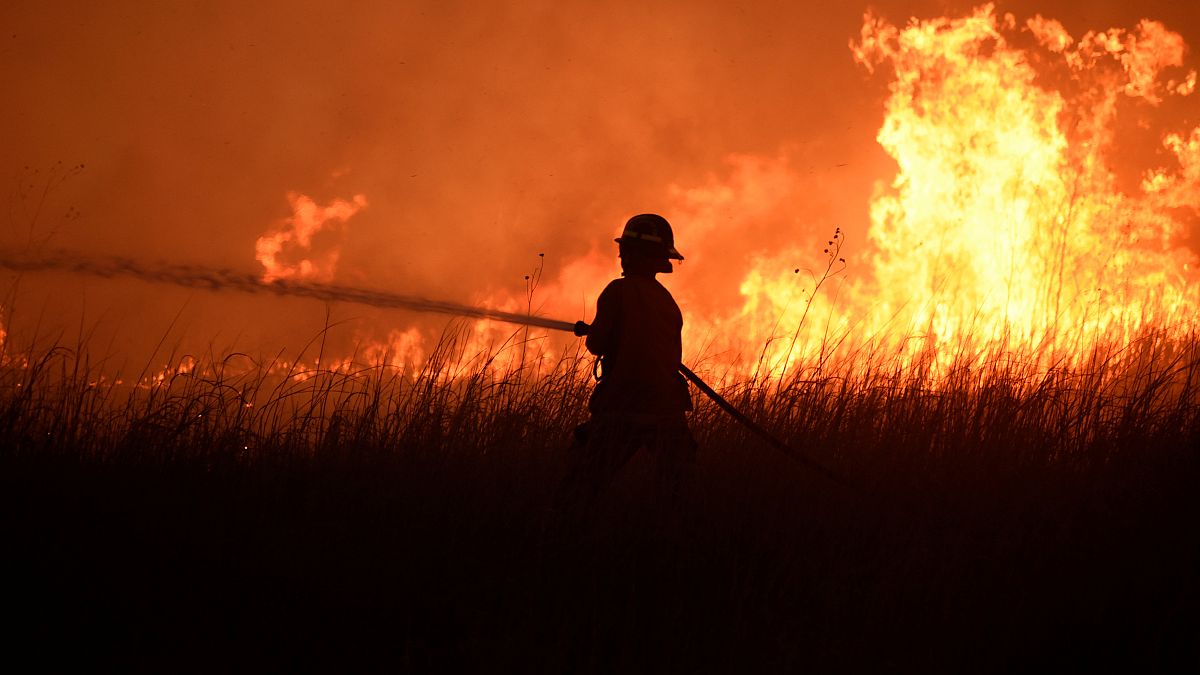 В России полыхают лесные пожары