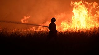 В России полыхают лесные пожары