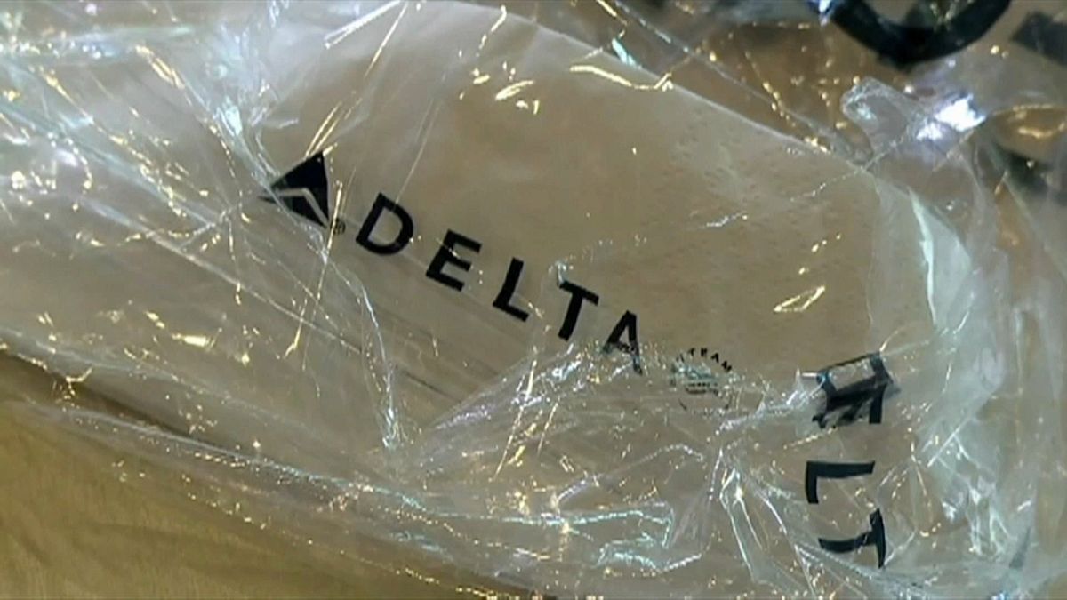 Passageira da Delta Airlines multada em 500 dólares por guardar maçã