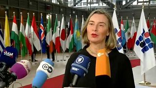 Iran nuclear deal 'is working,' stresses EU foreign policy chief