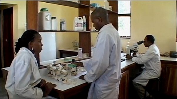 La giornata mondiale contro la malaria La giornata mondiale contro la malaria