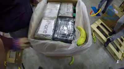 Incautación récord de 9 toneladas de cocaína escondidas entre plátanos