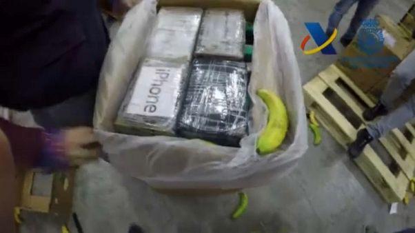 Incautación récord de 9 toneladas de cocaína escondidas entre plátanos Incautación récord de 9 toneladas de cocaína escondidas entre plátanos