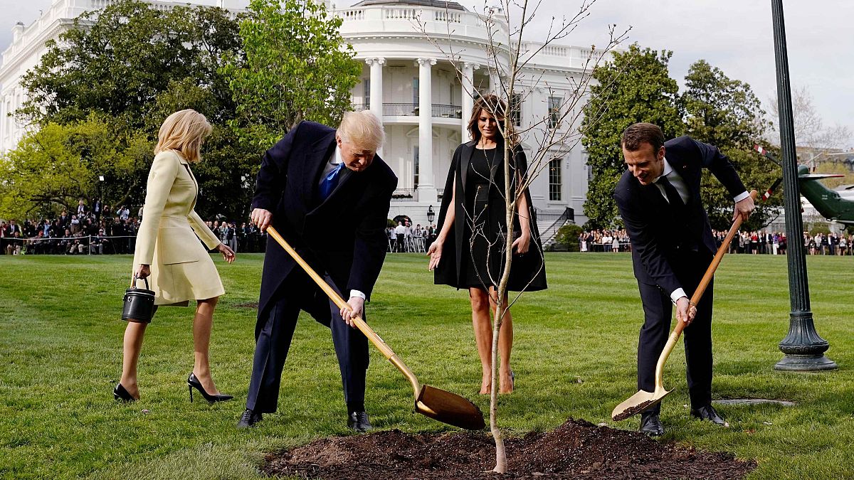 Los mejores memes de Macron y Trump plantando un árbol