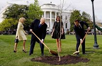 Los mejores memes de Macron y Trump plantando un árbol