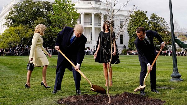 Los mejores memes de Macron y Trump plantando un árbol Los mejores memes de Macron y Trump plantando un árbol