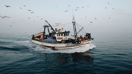 Photographer João Bernardino’s draw to utilitarian and industrial infrastructure: our conversation