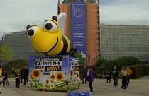 Umweltaktivisten feiern Verbot von "Bienentötern"