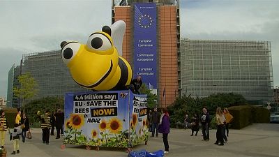 Umweltaktivisten feiern Verbot von "Bienentötern"