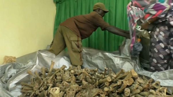 Halladas varias fosas comunes en Ruanda Halladas varias fosas comunes en Ruanda
