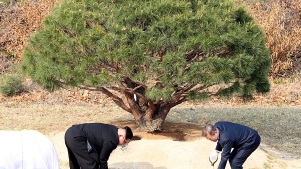 Große Ankündigungen in Korea Große Ankündigungen in Korea