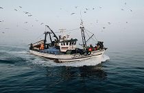 Les infrastructures industrielles vues par João Bernardino