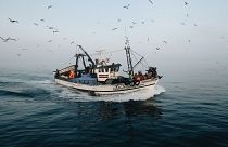 Leidenschaft für utilitaristische Infrastruktur: Im Gespräch mit João Bernardino