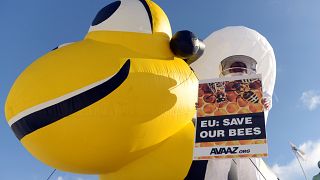 La UE actúa para proteger a las abejas