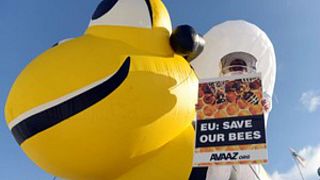 Η Ευρωπαϊκή Ένωση «σώζει» τις μέλισσες