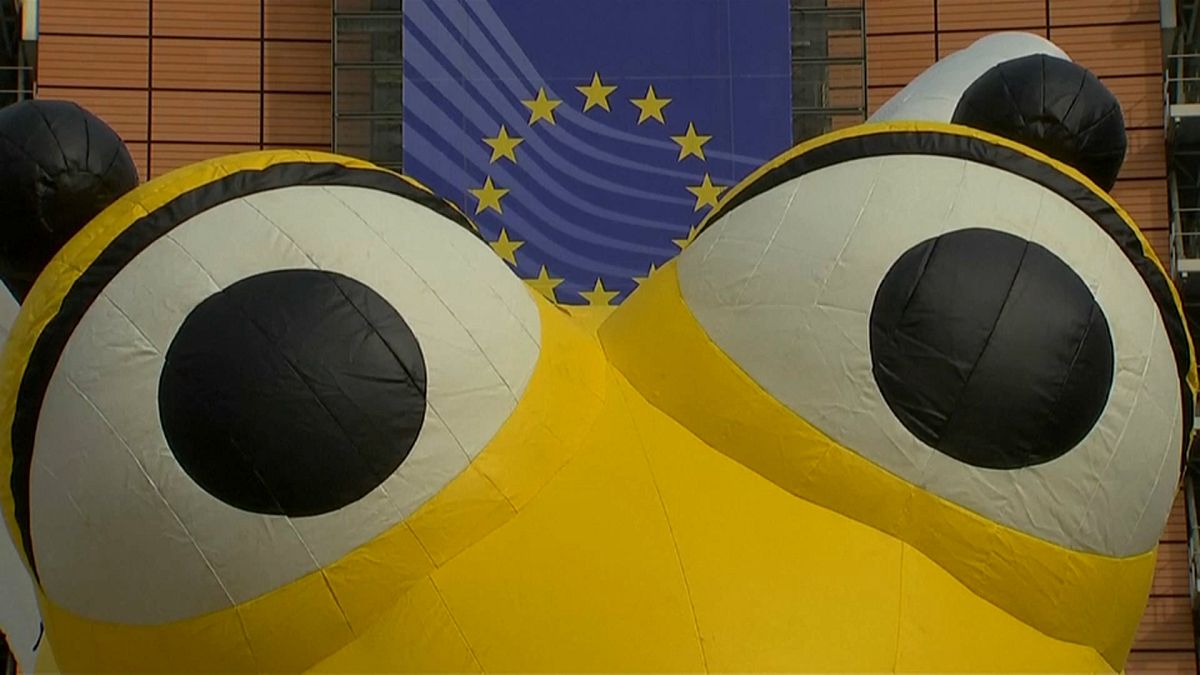 Евросоюз борется с гибелью пчёл