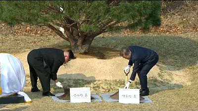 Kim, Moon plant tree to commemorate first meeting