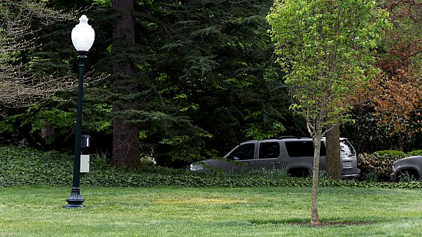 Tree sapling Macron gave to Trump appears to have disappeared from White House lawn