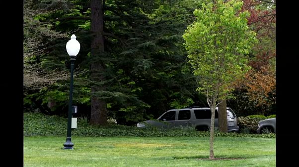 Mais où est passé l'arbre de l'amitié Macron-Trump ? Mais où est passé l'arbre de l'amitié Macron-Trump ?