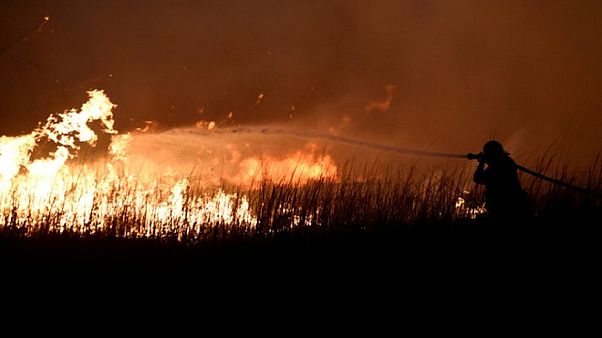 Ρωσία: Πύρινα μέτωπα σε πολλές επαρχίες Ρωσία: Πύρινα μέτωπα σε πολλές επαρχίες