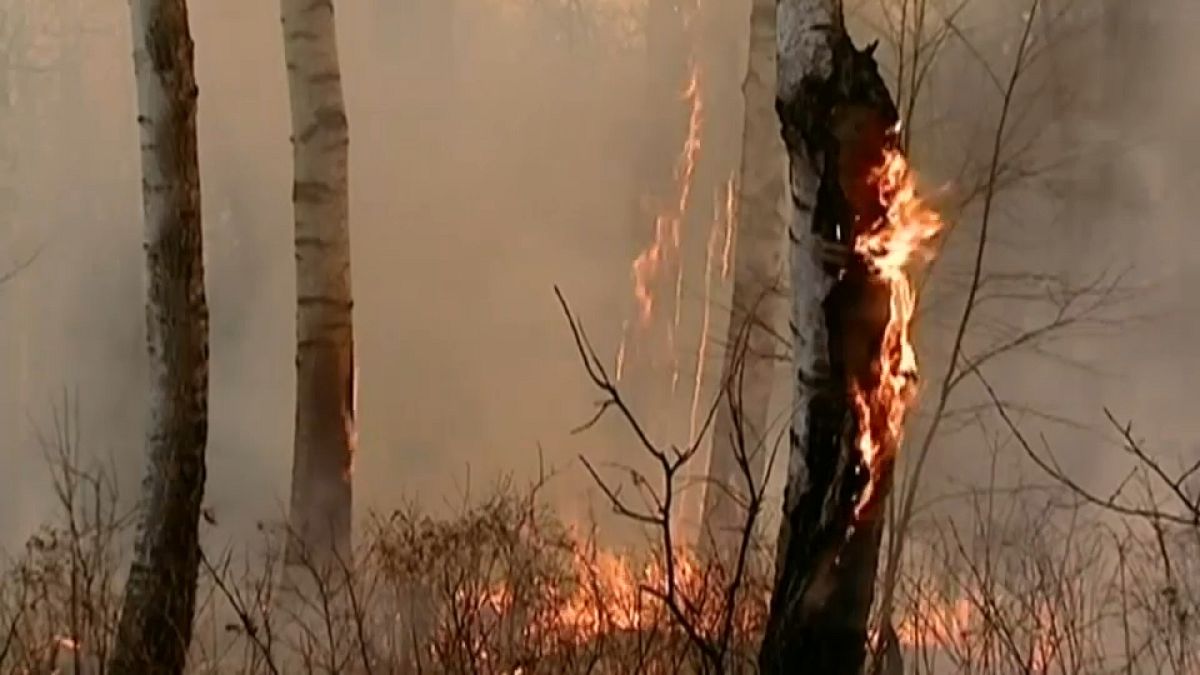 В России не стихают лесные пожары