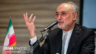 علی اکبر صالحی،‌ رئیس سازمان انرژی اتمی ایران