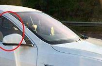 Video: Tesla-Fahrer stellt auf Autopilot und setzt sich auf den Beifahrersitz