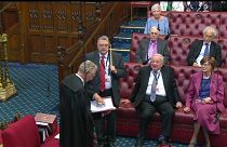 House of Lords gives Commons Brexit-blocking powers