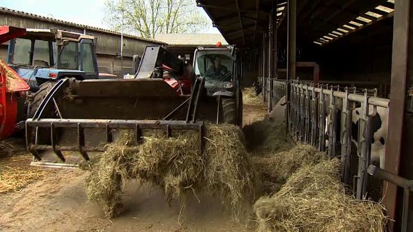 Budget européen : l'agriculture dans le viseur Budget européen : l'agriculture dans le viseur