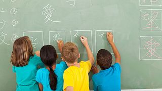 ‘Critical period’ for learning new language, says study