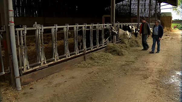 Agricultura pode sofrer cortes no primeiro orçamento comunitário pós-Brexit Agricultura pode sofrer cortes no primeiro orçamento comunitário pós-Brexit