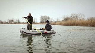 Testing the water: how to make fish farming more sustainable