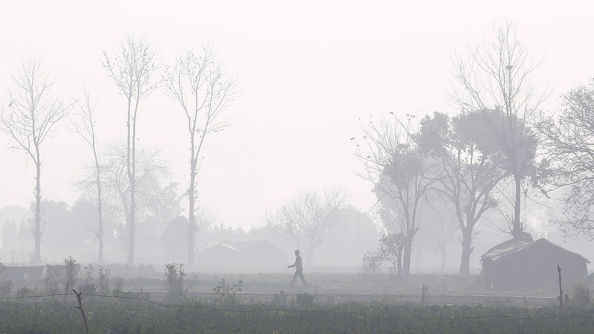 Maioria da população mundial respira ar contaminado