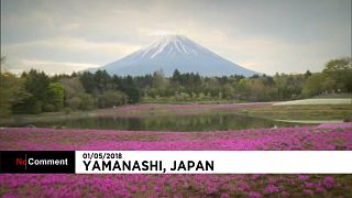 El paisaje japonés se tiñe de rosa